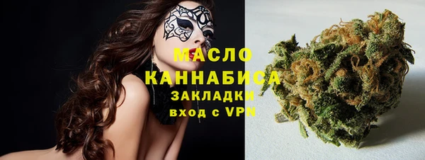 индика Бугульма