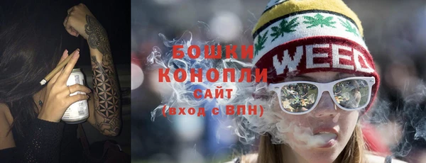 индика Бугульма