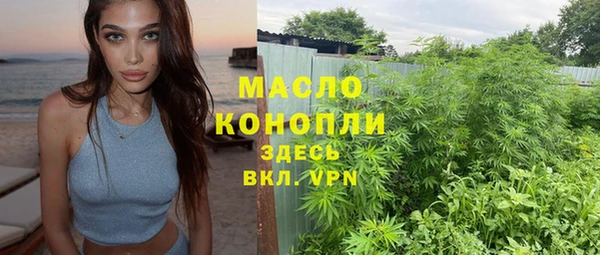 индика Бугульма