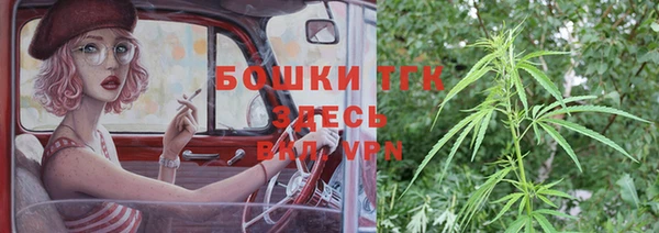 индика Бугульма