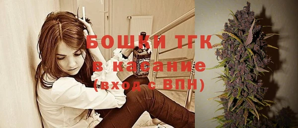 индика Бугульма
